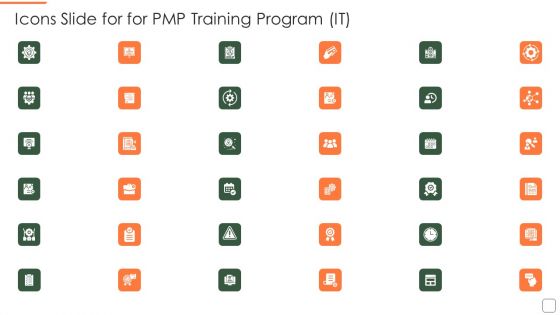 Icons Slide For For Pmp Training Program It Professional PDF