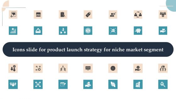Icons Slide For Product Launch Strategy For Niche Market Segment Designs PDF