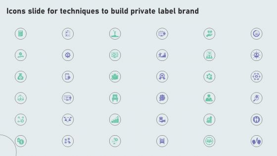 Icons Slide For Techniques To Build Private Label Brand Designs PDF Icons Slide For Techniques To Build Private Label Brand Designs PDF