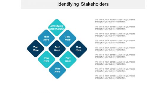 Identifying Stakeholders Ppt PowerPoint Presentation Infographic Template Structure Cpb