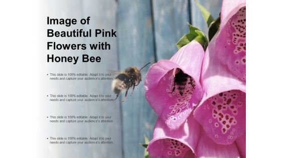 Image Of Beautiful Pink Flowers With Honey Bee Ppt PowerPoint Presentation Pictures Graphics Design
