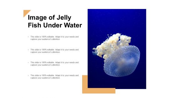 Image Of Jelly Fish Under Water Ppt Powerpoint Presentation Layouts Graphic Tips