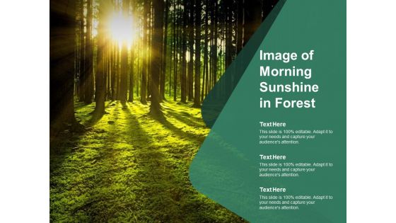 Image Of Morning Sunshine In Forest Ppt PowerPoint Presentation Inspiration Slide Download