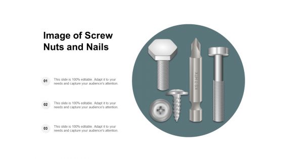 Image Of Screw Nuts And Nails Ppt PowerPoint Presentation Inspiration Designs Download