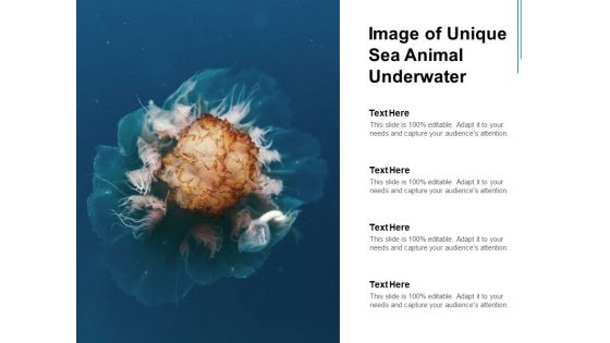 Image Of Unique Sea Animal Underwater Ppt PowerPoint Presentation Portfolio Clipart