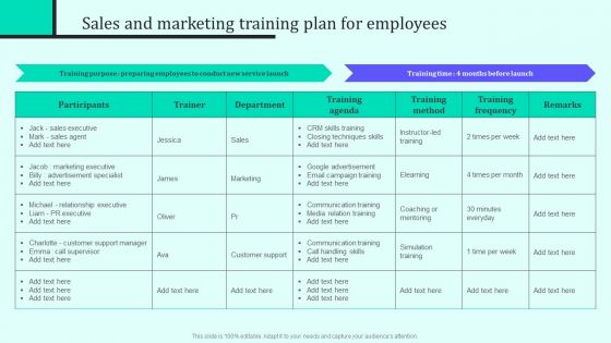 Implementing New Sales And Marketing Process For Services Sales And Marketing Training Plan Professional PDF