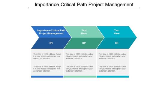 Importance Critical Path Project Management Ppt PowerPoint Presentation Show Aids Cpb