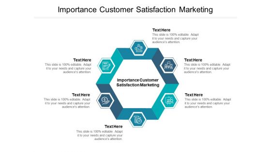 Importance Customer Satisfaction Marketing Ppt PowerPoint Presentation Gallery Example Cpb