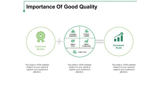 Importance Of Good Quality Ppt PowerPoint Presentation Styles Show