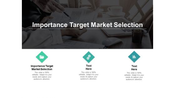 Importance Target Market Selection Ppt PowerPoint Presentation Professional Design Templates Cpb