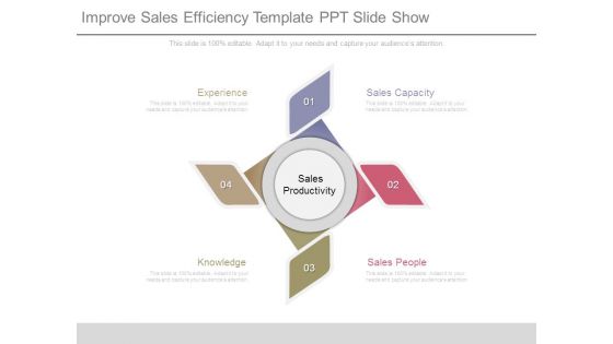 Improve Sales Efficiency Template Ppt Slide Show Improve Sales Efficiency Template Ppt Slide Show