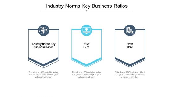 Industry Norms Key Business Ratios Ppt PowerPoint Presentation Styles Ideas Cpb