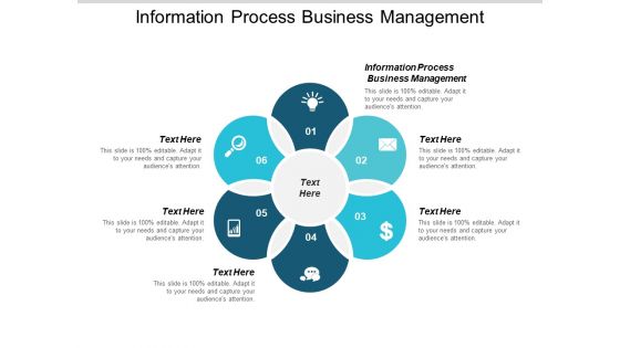 Information Process Business Management Ppt PowerPoint Presentation Infographics Graphic Images Cpb
