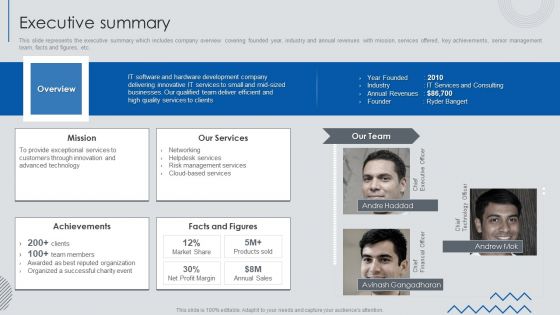 Information Technology Solutions Business Profile Executive Summary Themes PDF