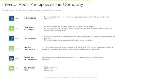 Internal Audit Principles Of The Company Infographics PDF