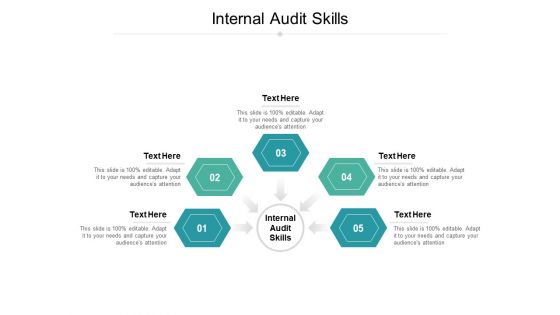 Internal Audit Skills Ppt PowerPoint Presentation File Deck Cpb