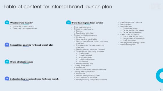 Internal Brand Launch Plan Ppt PowerPoint Presentation Complete Deck With Slides