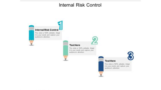 Internal Risk Control Ppt PowerPoint Presentation File Slides Cpb