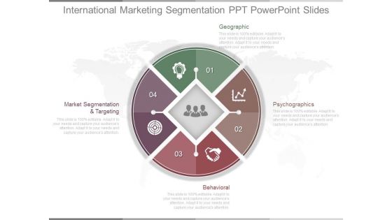 International Marketing Segmentation Ppt Powerpoint Slides