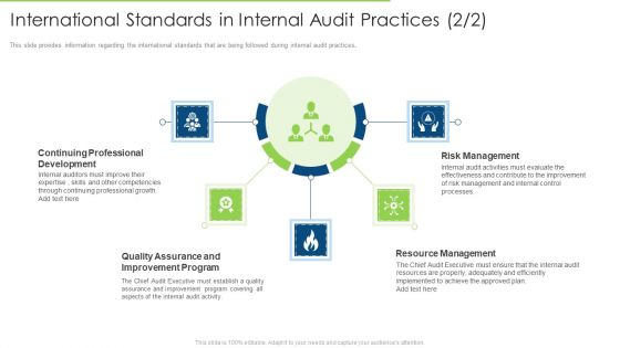 International Standards In Internal Audit Practices Program Download PDF