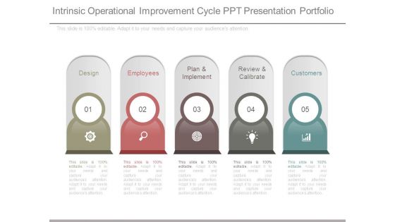 Intrinsic Operational Improvement Cycle Ppt Presentation Portfolio Intrinsic Operational Improvement Cycle Ppt Presentation Portfolio