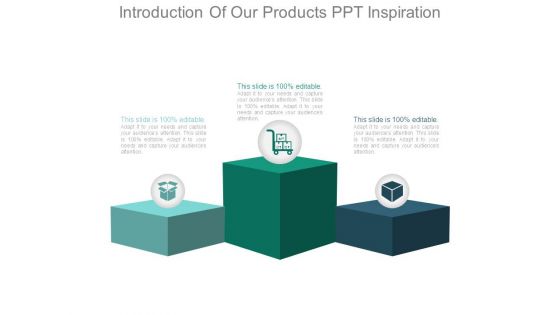 Introduction Of Our Products Ppt Inspiration Introduction Of Our Products Ppt Inspiration