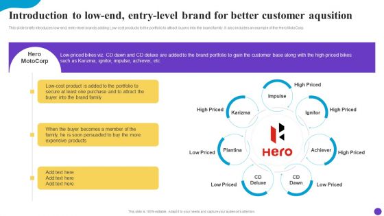 Introduction To Low End Entry Level Brand For Better Customer Aqusition Pictures PDF