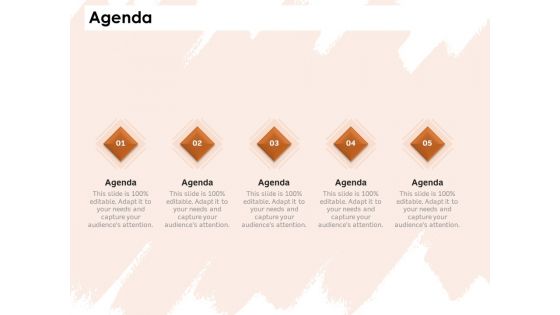 Investor Deck For Capital Generation From Substitute Funding Options Agenda Management Ideas PDF