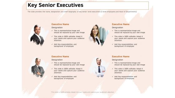 Investor Deck For Capital Generation From Substitute Funding Options Key Senior Executives Summary PDF