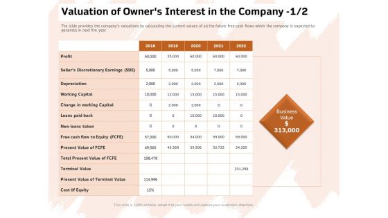 Investor Deck For Capital Generation From Substitute Funding Options Valuation Of Owners Interest In The Company Rules PDF