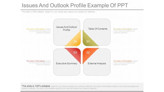Issues And Outlook Profile Example Of Ppt