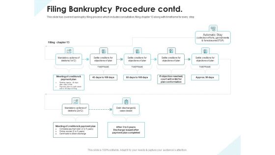 Issues Which Leads To Insolvency Filing Bankruptcy Procedure Contd Summary PDF