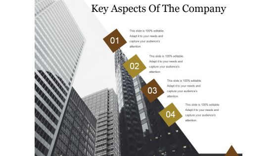Key Aspects Of The Company Ppt PowerPoint Presentation Infographics Key Aspects Of The Company Ppt PowerPoint Presentation Infographics
