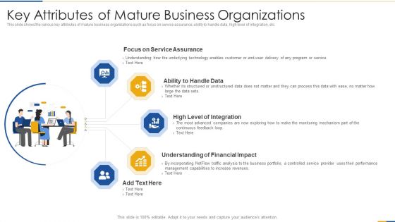 Key Attributes Of Mature Business Organizations Inspiration PDF