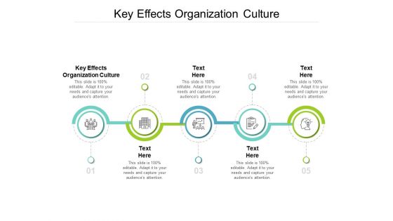 Key Effects Organization Culture Ppt PowerPoint Presentation Show Ideas Cpb