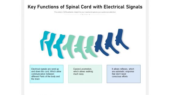 Key Functions Of Spinal Cord With Electrical Signals Ppt PowerPoint Presentation Gallery Example File PDF