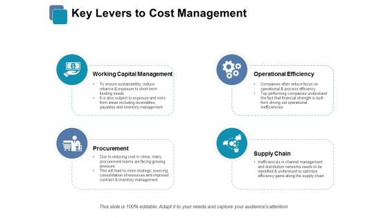 Key Levers To Cost Management Ppt PowerPoint Presentation Picture