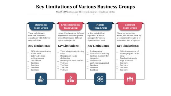 Key Limitations Of Various Business Groups Ppt PowerPoint Presentation Icon Summary PDF