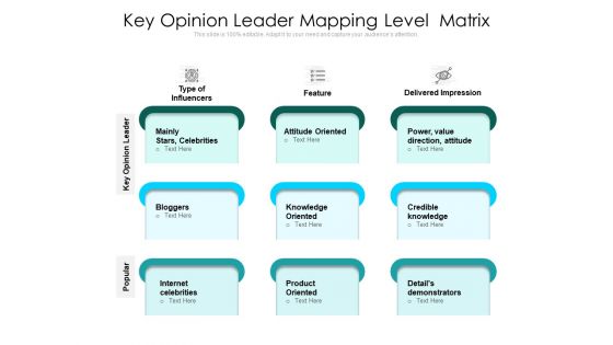 Key Opinion Leader Mapping Level Matrix Ppt PowerPoint Presentation Gallery Show PDF