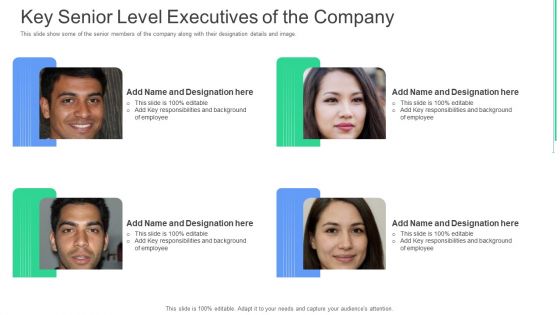 Key Senior Level Executives Of The Company Ppt Gallery Example File PDF