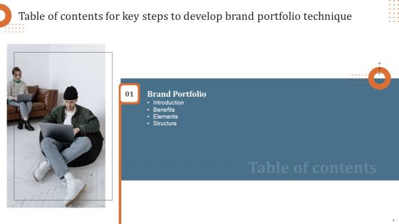 Key Steps To Develop Brand Portfolio Technique Ppt PowerPoint Presentation Complete Deck With Slides