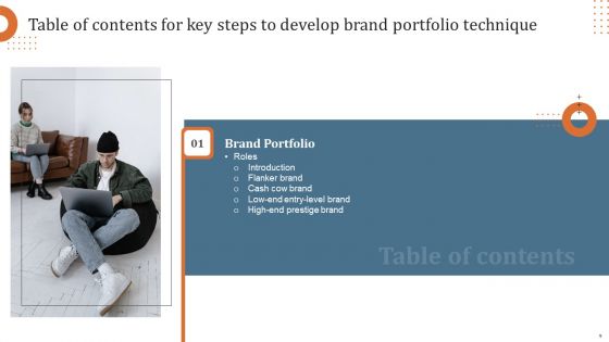 Key Steps To Develop Brand Portfolio Technique Ppt PowerPoint Presentation Complete Deck With Slides