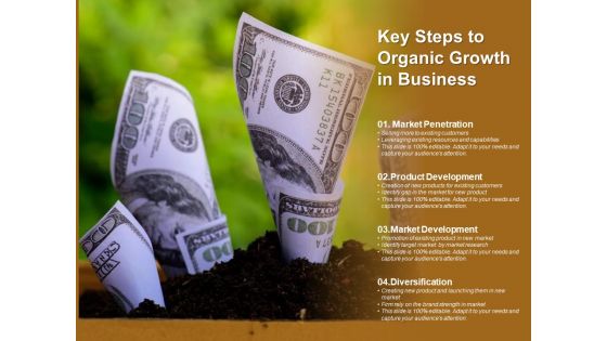Key Steps To Organic Growth In Business Ppt PowerPoint Presentation Ideas Example Topics
