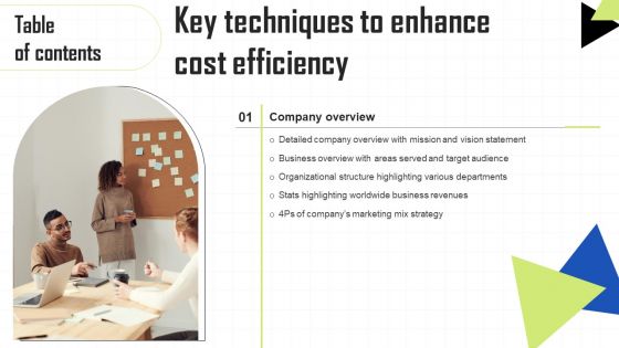 Key Techniques To Enhance Cost Efficiency Table Of Contents Inspiration PDF Key Techniques To Enhance Cost Efficiency Table Of Contents Inspiration PDF