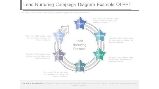 Lead Nurturing Campaign Diagram Example Of Ppt