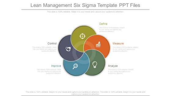 Lean Management Six Sigma Template Ppt Files