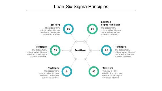 Lean Six Sigma Principles Ppt PowerPoint Presentation Professional Backgrounds Cpb
