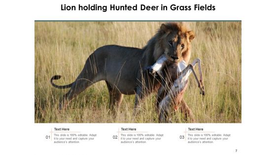 Leo Lion Face Wild Buffalo Ppt PowerPoint Presentation Complete Deck