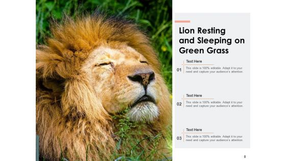 Leo Lion Face Wild Buffalo Ppt PowerPoint Presentation Complete Deck