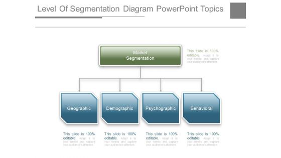 Level Of Segmentation Diagram Powerpoint Topics